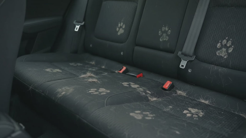 Kit Auto Sin Pelos 🐾